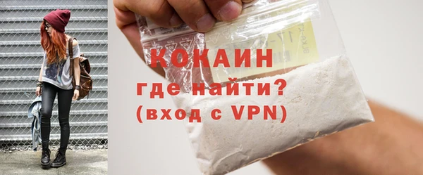 ПСИЛОЦИБИНОВЫЕ ГРИБЫ Ельня