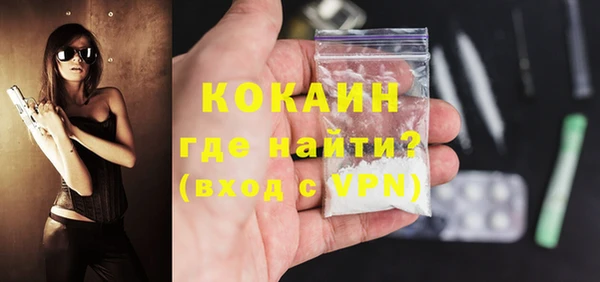 стаф Елизово