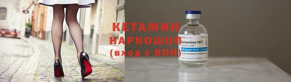 прущие грибы Вязники