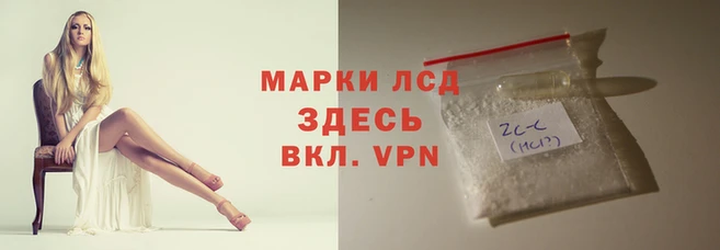 стаф Елизово