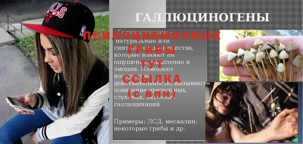 стаф Елизово