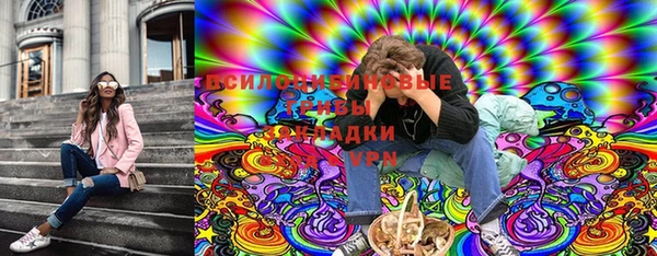 винт Бежецк