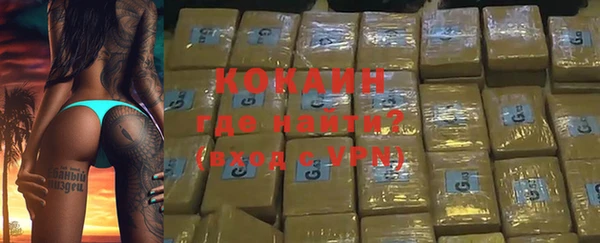 ПСИЛОЦИБИНОВЫЕ ГРИБЫ Ельня